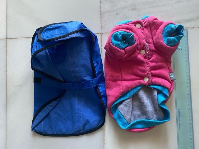 Chubasquero perro conjunto