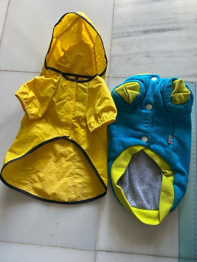 Chubasquero perro conjunto