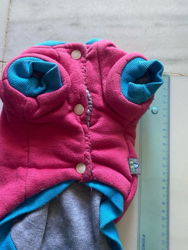 Chubasquero perro conjunto