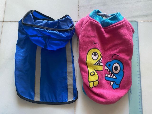 Chubasquero perro conjunto