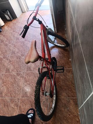 Bicicleta de niños 20 pulgadas