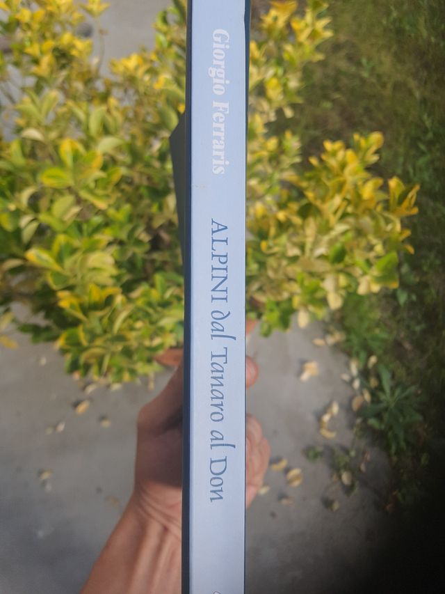 Alpini, dal Tanaro al Don