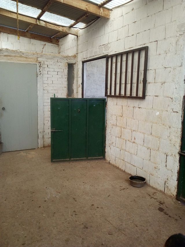 Pupilaje para caballos. Cuido tu caballo.