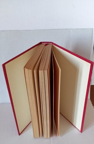 Libro - I Borgia