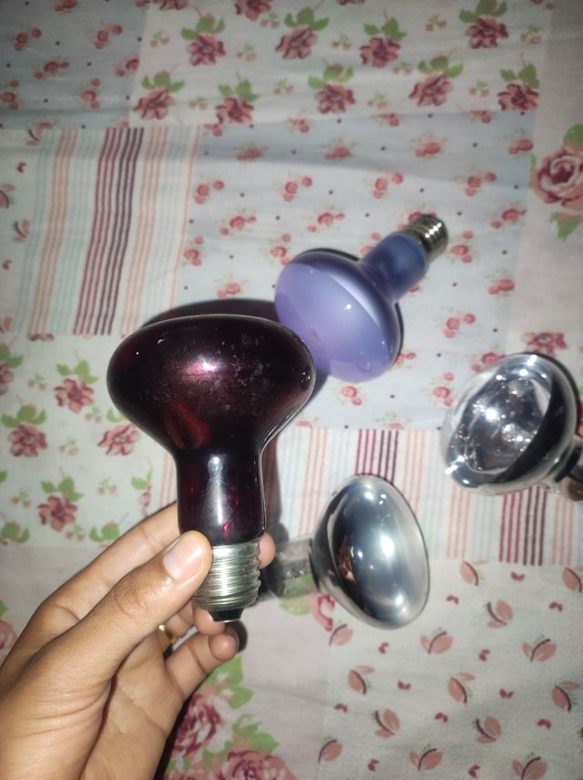 Olle express 5l marca magefesa