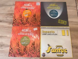 Lote discos de vinilo