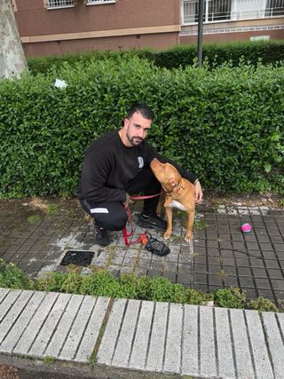 Adiestrador/educador canino