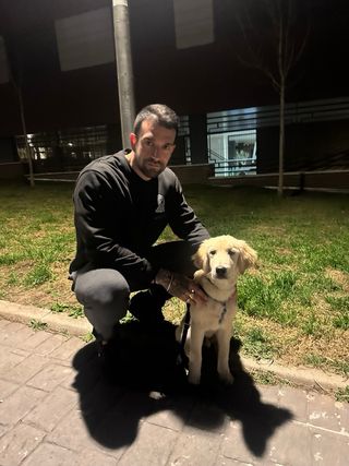 Adiestrador/educador canino
