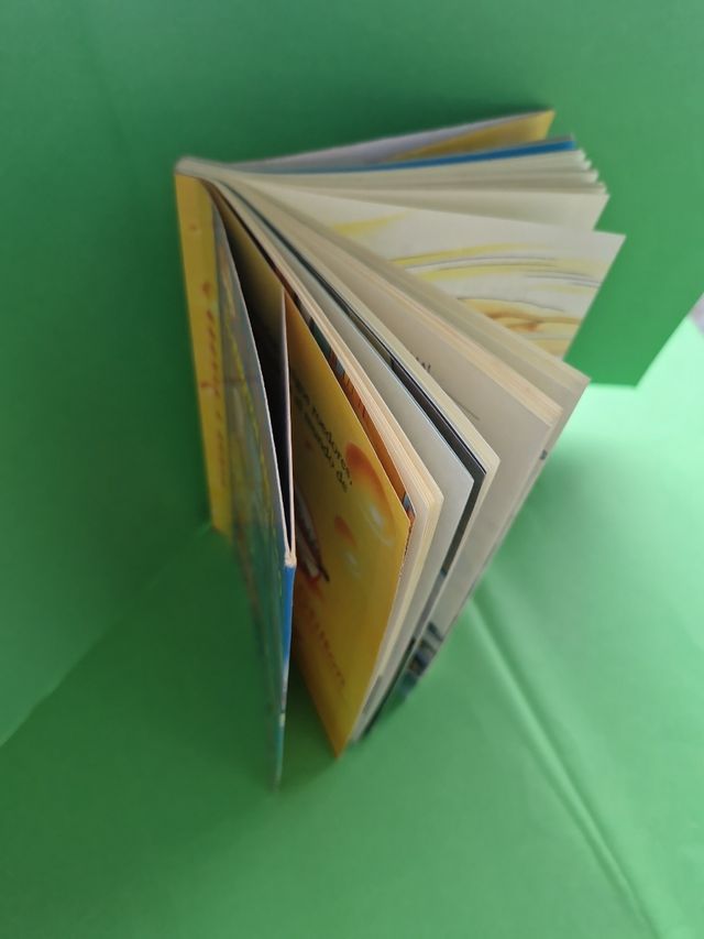 El maratón más loco: Geronimo Stilton 45