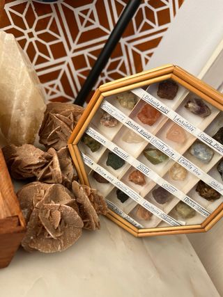 Colección de minerales y fósiles