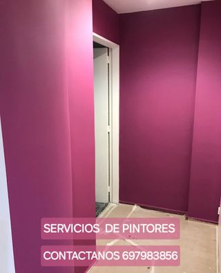 SERVICIOS DE PINTORES