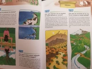 365 PREGUNTAS Y RESPUESTAS. Pasta dura