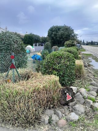 jardineria y paisajismo
