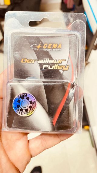 Derailleur pulley