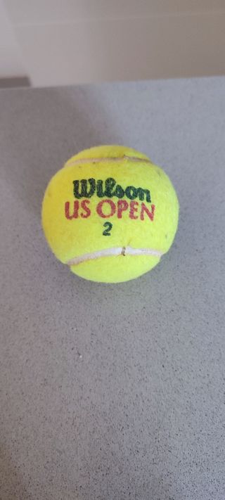 Pelota tenis