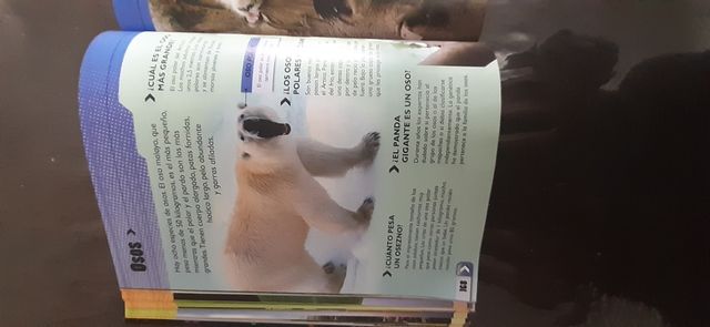 Libro La gente, los países y la Tierra.