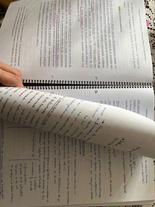 Apuntes de derecho GADE 