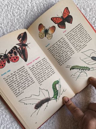 3 LIBROS BIBLIOTECA JÓVENES CASTORES AÑO 1984