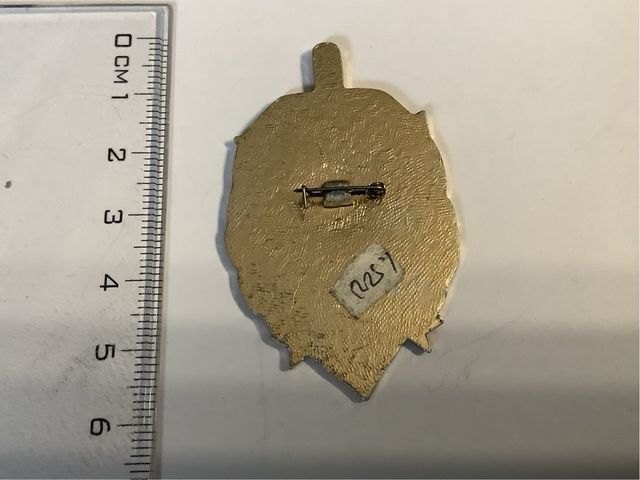 Insignia Militar Guardia Fronteriza Rusia 1990.