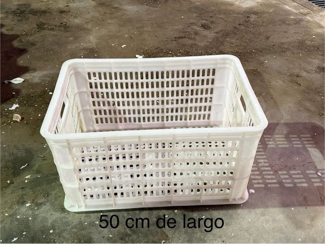 Cajas de plastico