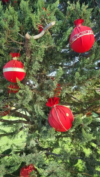 Bolas árbol de Navidad
Luces Led, más de 3.000