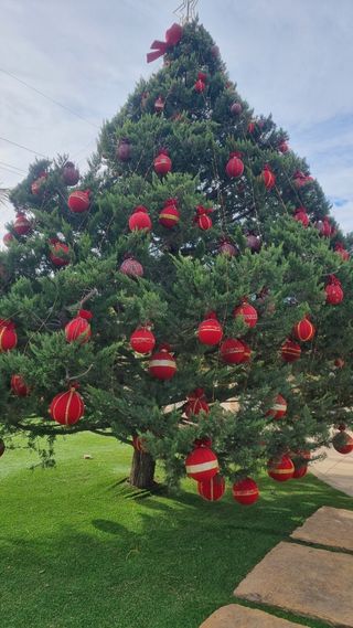 Bolas árbol de Navidad
Luces Led, más de 3.000