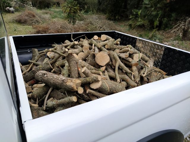 Venta de leña de ullastre