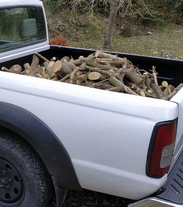 Venta de leña de ullastre