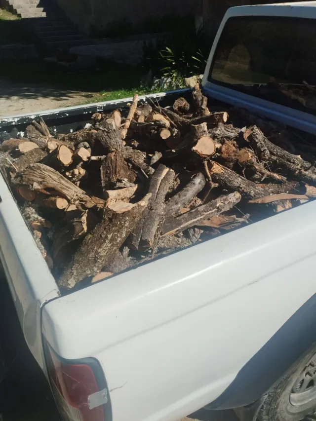 Venta de leña de ullastre