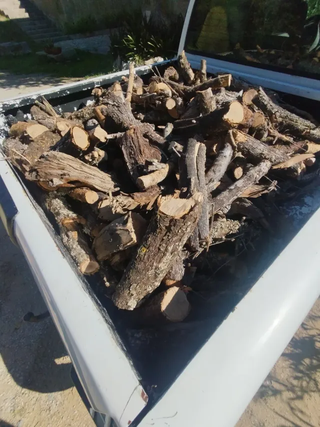 Venta de leña de ullastre