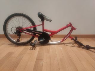 Tamdem una rueda Barracuda Trailbuddy 6