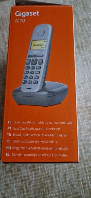 Teléfono fácil de usar Gigaset A170