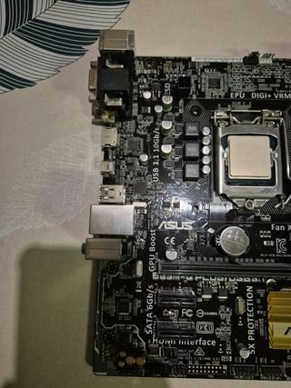 Placa base Asus + Procesador intel