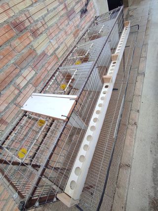 Jaula ponedero codorniz codornices