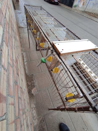 Jaula ponedero codorniz codornices