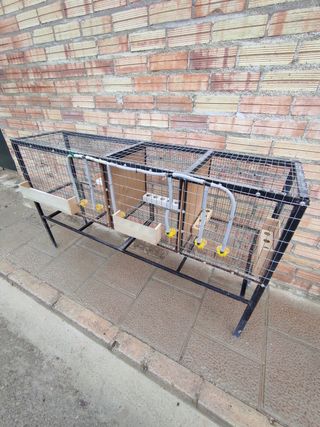 Jaula ponedero de codorniz codornices