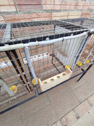 Jaula ponedero de codorniz codornices