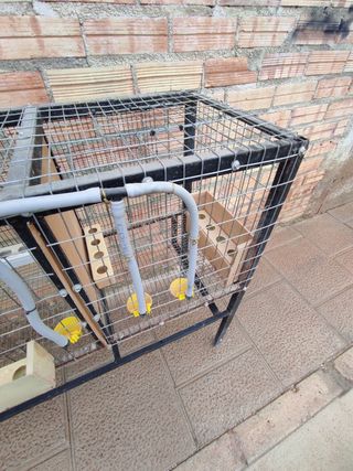 Jaula ponedero de codorniz codornices