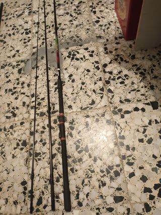 Dos Cañas de pesca