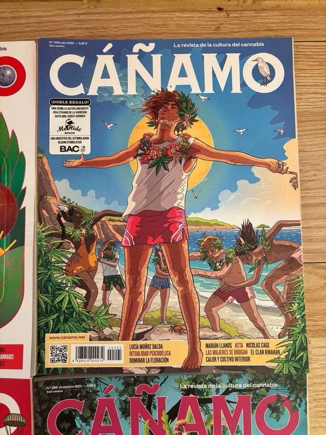 Revistas Cañamo