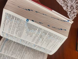 Garzanti I Garzantini Hazon (DIZIONARI)