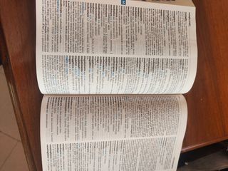 Garzanti I Garzantini Hazon (DIZIONARI)