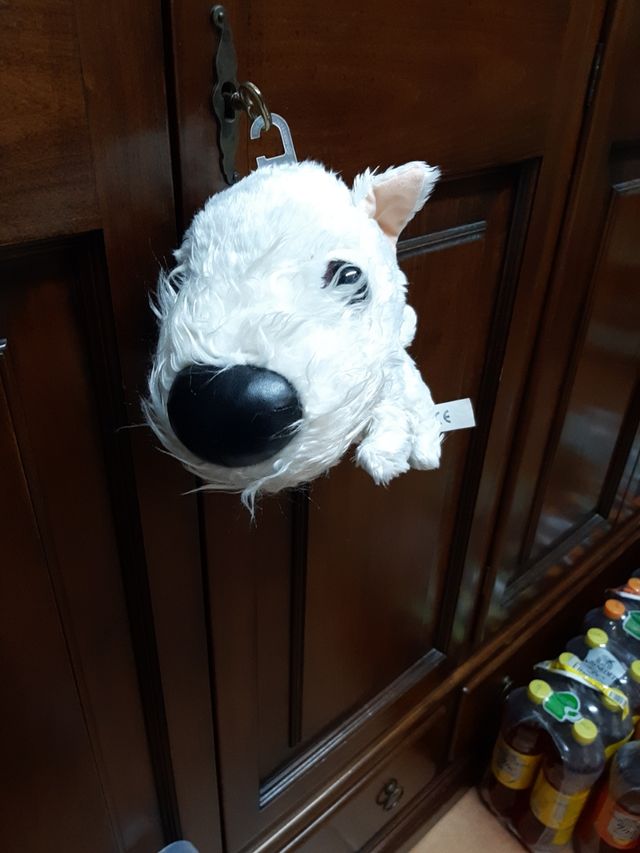 Cucciolo cane peluche bianco