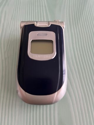 Cellulare Samsung GPRS SGH-P100