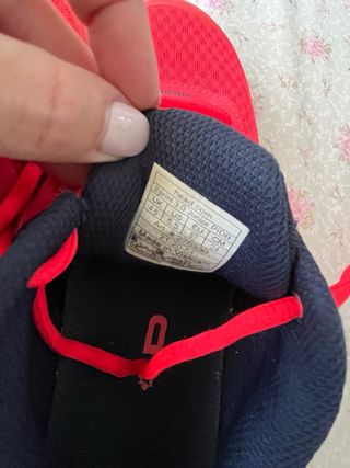 Zapatillas Tenis Head Núm. 37