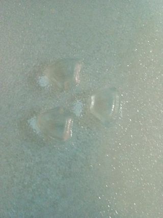 Plato de cristal y rodillo para Microondas