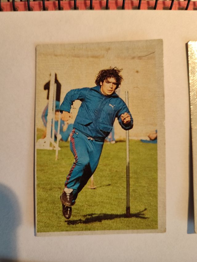 Fichas de Maradona liga 83/84