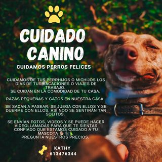 Cuidado de mascotas