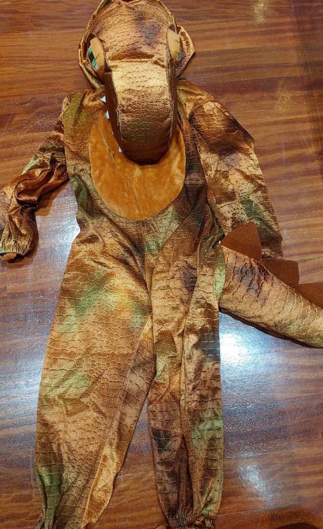 Disfraz Dinosaurio niño.