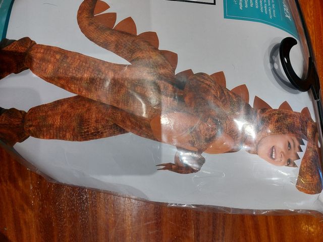 Disfraz Dinosaurio niño.